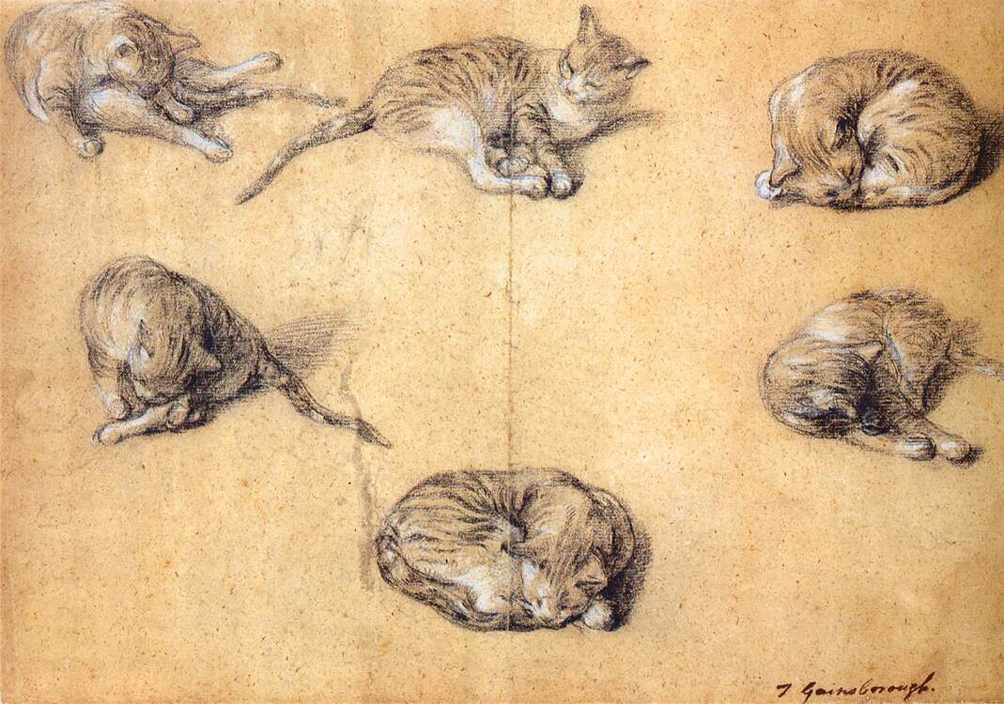 Леонардо да Винчи Наброски животных